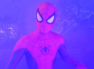 Spidey in the Mist!